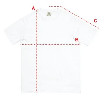 Measurement diagram for this shirt